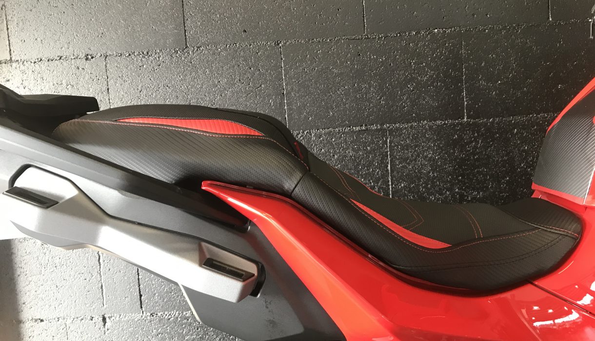 Housse De Selle Pour Vélo Électrique Ridstar Q20 - Matériau PVC Imperméable - Design à Picots Antidérapant - Rouge